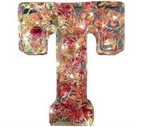 Handmade Floral Resin Night Light, Natural Pressed Flower Letter Lamp, Real Dried Flowers Initial Lights, DIY Floral Letter Name NightLight, Unique Gifts for Birthday Anniversary (Mix color T)