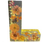 Handmade Floral Resin Night Light, Natural Pressed Flower Letter Lamp, Real Dried Flowers Initial Lights, DIY Floral Letter Name NightLight, Unique Gifts for Birthday Anniversary (Mix color L)