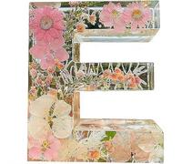 Handmade Floral Resin Night Light, Natural Pressed Flower Letter Lamp, Real Dried Flowers Initial Lights, DIY Floral Letter Name NightLight, Unique Gifts for Birthday Anniversary (Mix color E)