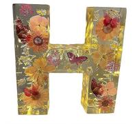 Handmade Floral Resin Night Light, Natural Pressed Flower Letter Lamp, Real Dried Flowers Initial Lights, DIY Floral Letter Name NightLight, Unique Gifts for Birthday Anniversary (Mix color H)