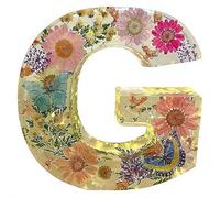 Handmade Floral Resin Night Light, Natural Pressed Flower Letter Lamp, Real Dried Flowers Initial Lights, DIY Floral Letter Name NightLight, Unique Gifts for Birthday Anniversary (Mix color G)