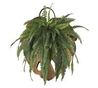 Handmade Slatted Fern Mounting - Internal Bedroom Slatboard, Aesthetic Flora Hanger,Distinctive Piscine Outlines | Organic Walnut Baseboard, Residential Yard Showcases Botanical Pothos Arrangements