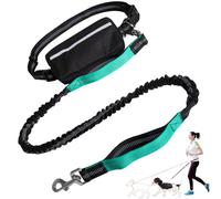 Hands Free Dog Leash with Zipper Pouch, Dog Leash Waist Belt, Dual Padded Handles, Durable Bungee Running Belt for Dogs (Light Green)