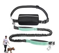 Hands Free Dog Leash with Zipper Pouch, Waist Leash for Dog Walking, Walking Pouch for Medium Large Dogs, Dual Handle and Retractable Bungee with Storage Pouch (Light Blue)