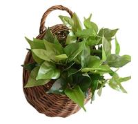 Handwoven Wall Basket Decor - Natural Rattan Hanging Storage Planter for Home Decoration Use | Boho Farmhouse with Accent Holder, Plants Kitchen Bedroom for Living Room Nursery Space