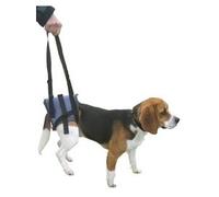 Handy Canis ArnÉs de Soporte para Patas traseras, Talla L