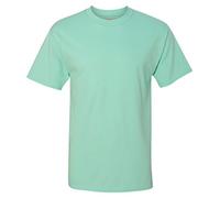 Hanes Beefy-T - Camiseta Alta para Hombre, Verde Menta (Clean Mint), X-Large