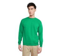 Hanes Ecosmart Fleece, Pullover Crewneck Sweatshirt, 1 Or 2 Pack Sudadera, Verde Kelly, XXL para Hombre