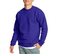 Hanes Sudadera Ecosmart, Violeta, XL para Hombre