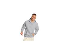 Hanes mens Pullover Ecosmart Hooded Sweatshirt Hoody Ash 3XLarge US