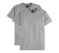 Hanes Men's Nano Premium Cotton T-Shirt (Pack of 2), Light Steel, X-Large