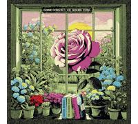 Hanging Stars - Dreams