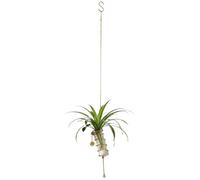 Hanging Station Frame - Countertop Desk Gear, Indoor Outdoor Portrait Visual, Practical Growth Logic, Elegant Decoration Quality, Heavy Alloy Unit Vessel, Garden | for Plant Enthusiasts