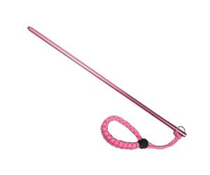 Hangsu Bastón de buceo de aleaciones de aluminio con cordón para la muñeca, caña de buceo, punteros para hacer ruido, dispositivos de señalización subacuática, agitador subacuático, cordón para hacer