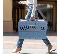 Hanmorfarbi Mascota azul, caja de aire para mascotas, bolsa de rejilla para gatos, caja de perros, portátil al aire libre, cápsula para gatos grandes y pequeños, cajas de aire de check-in para perros