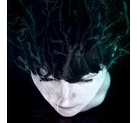 Hanne Kolstø While We Still Have Light (Vinyl) 12" Album