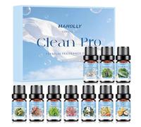 HANOLLY Aceites Esenciales para Humidificador Limpio 10x5ML