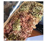 HANRUO Flores secas-4-4.5g / porción Natural en conserva Frescas Flores secas Hortensia Cabeza de Flor for DIY Real Vida Eterna Flores de Materiales (Color : 14)