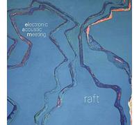 Hans Burgener violin - raft