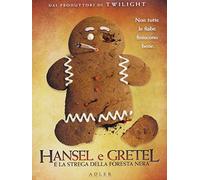 Hansel e Gretel e la strega della foresta nera [Italia] [DVD]