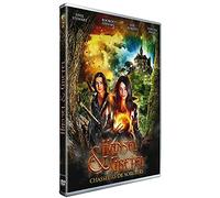 Hansel et Gretel : Chasseurs de sorciers [Francia] [DVD]