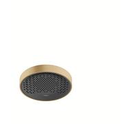 Hansgrohe 26228140 Alcachofa de Ducha, Bronce Cepillado, Brausekopf 250mm (Wand- & Deckenmontage)
