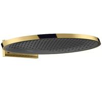Hansgrohe 26230990 Cabezal de Ducha, Aspecto de Oro Pulido, Brausekopf 360mm (Wandmontage)