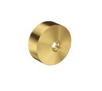 hansgrohe AXOR Una extensión de rosetón, 13610250, Color: Óptica de oro cepillado