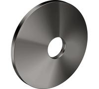 hansgrohe AXOR Una roseta, 13611330, Color: Cromo negro pulido