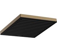 hansgrohe Pulsify E, rociador de ducha ahorro de agua 9 l/min (EcoSmart), ducha fija rectangular, cabezal de ducha lluvia con 1 tipo de chorro, conexión pared/techo, sistema antical, bronce cepillado
