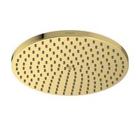 hansgrohe Raindance S - rociador de ducha ahorro de agua (EcoSmart), ducha fija, cabezal de ducha lluvia con 1 tipo de chorro (PowderRain) para conexión pared y techo, color oro pulido, 27624990
