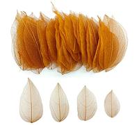 HAOBIN 100 Hojas de Esqueleto Naturales, Hojas secas esqueléticas, Hojas secas al Natural, Hojas secas Mixtas utilizadas para el Oficio de Bricolaje Scrapbook Craft Card Making (marrón C)