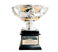 haobook Trofeo del Abierto de Australia para Hombres Individuales Brookes Challenge Cup Championship Grand Slam Trofeos Federer Fans Regalos Coleccionables de Tenis Tema Adornos de exhibición