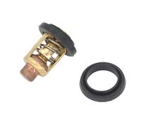 HAOCNC Conjunto de termostato 19300-ZW9-003 Compatible con BF 8 9,9 15 20 25 30 40 50 60 100 200 225