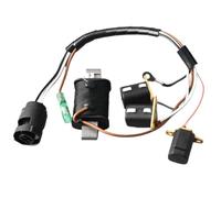 HAOCNC Outboard Stator Assy 6H3-85510 Compatible with Marine Parts Boat Motor Models 60HP E60MLHY