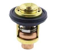 HAOCNC Termostato 60 ℃ Compatible con Motores fueraborda Marinos Modelos 19300-ZW9-003 19300-ZY3-023 para número de Pieza 19300ZY3023 19300ZW9003 Ajuste Universal