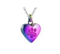 Haodream Elegante collar de acero con forma de corazón con soporte para cenizas, para la pérdida de una mascota, colgante de urna para mascotas
