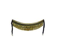 HAODUOO Dancer 338 Coin Belly Dance Waist Chain Dance Costume Set Beginners Belt Weighted Waist Scarf