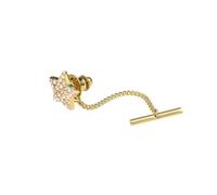 HAODUOO Diamante de imitación pentagrama corbata Pin cadena estrella pequeño Collar hebilla boda vestido broche Clip de corbata(D)