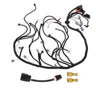 Haofy Arnés de Cableado Independiente LS3 6.2L 6L80E 6L90E 58X DBW Cambio de Motor de Camión EV6 EV1 Adaptador Incluido Relés de 60 A Cables Etiquetados para Conexión Al Chasis