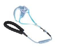 Haofy Arnés de Chaleco para Gato Azul, Antipérdida, a Prueba de Fugas, con Correa para Pasear a su Mascota, de 2,5 a 10 Kg, Material de Poliéster Duradero