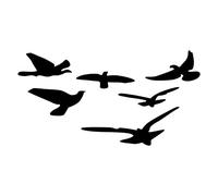 Haofy Etiqueta de la Pared del Espejo DIY | Adhesivos Decorativos con Forma de Pájaro para Salón | Decoración del Hogar Impermeable para Dormitorio | Juego de 11 Uds. (BLACK)