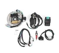 Haofy Kit de Enchufe de Arnés de Cableado CDI de Estator de Bobina de Encendido de 4 Tiempos para Lifan Loncin Ducar Zongshen Pit Bike, 20000 V Estable para Reemplazo de Motor de