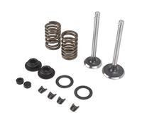 Haofy Kit de Resorte de Sello de Válvula de Escape de Admisión de Hierro de un Cilindro 186F para Generador Refrigerado por Aire, Construcción Duradera, Fácil Instalación