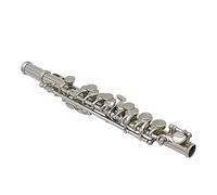 Haofy Kit Piccolo, Piccolo C Bañado en Plata con Diseño Desmontable, Flauta de 16 Agujeros, Boquilla Cuadrada, Juego de Herramientas de Limpieza, para Estudiantes Principiantes Banda Orquesta (SILVER)