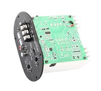 Haofy Placa Amplificadora de Audio para Coche, Potenciador de Graves Puros de Alta Potencia de 120W para Altavoces Subwoofer, Aleación de Aluminio, 1 Unidad