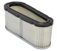 Haofy Reemplazo de Filtro de Aire para 496894S 493909 5053B y Otros Modelos de Cortacésped con Material ABS: Reemplazo Rápido, Rendimiento Mejorado para Protección del Motor a Largo Plazo