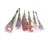 Haofy Ropa de Cama para Mascotas con Flores Secas, Estética Rústica, Decoración de Jaula para Animales Pequeños con Función de Refrigerio para Hámsteres, Jerbos y Degus, Ropa de Cama Floral para un