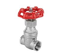 Haofy Válvula de Compuerta DN15 Resistente de Acero Inoxidable para Agua, Gasóleo, Válvula de Esclusa Recta para Equipos Industriales, Material de Acero Inoxidable 304