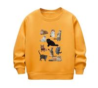 HAOLEI Sudadera Niña Sin Capucha,Casual Cuello Redondo Sudaderas con Estampado Holgados Camiseta Manga Larga Básico Pulllover Top Jersey de Otoño e Invierno para Niño Niña Ocio Suéter 2-12 Años